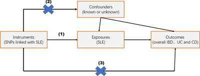 Association between systemic lupus erythematosus and inflammatory bowel disease in European and East Asian populations: a two-sample Mendelian randomization study